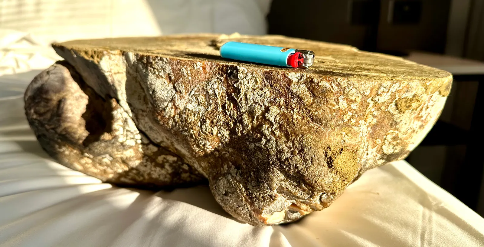 Authentic grey ambergris specimen