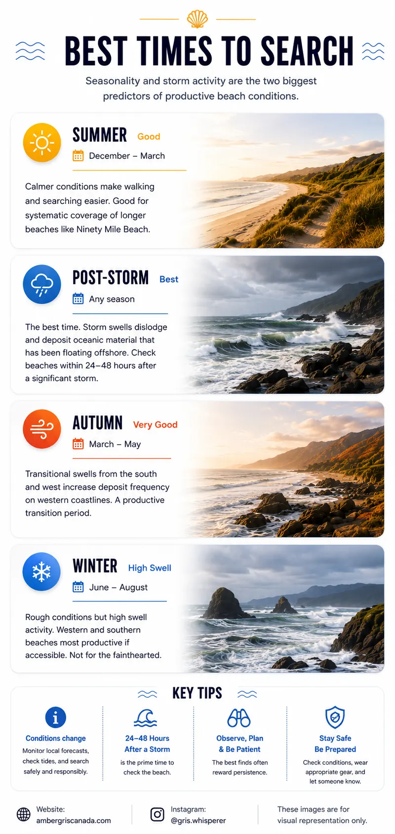 Best times to search for ambergris in New Zealand