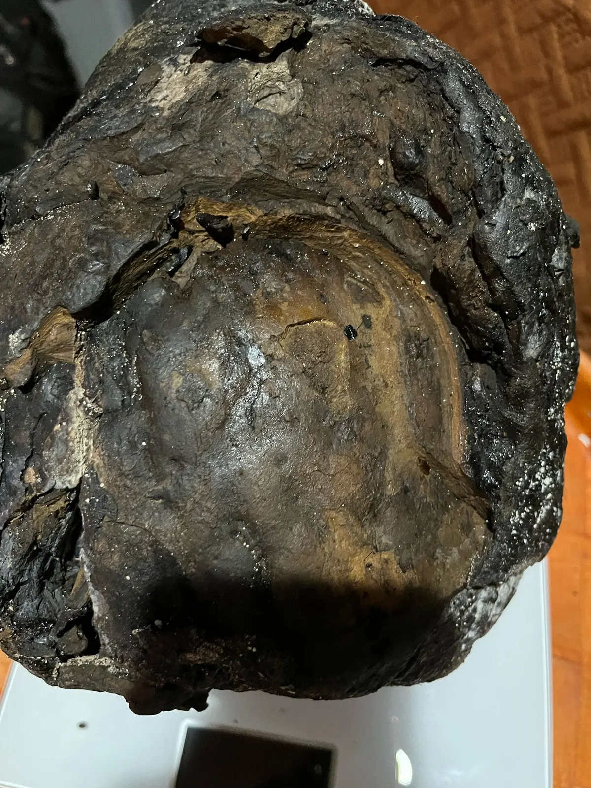 Authentic dark ambergris specimen on scale
