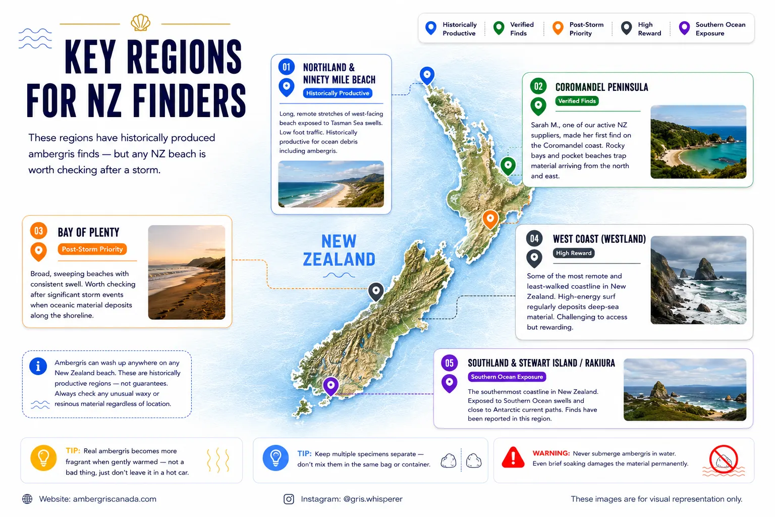 Key regions in New Zealand for ambergris finds