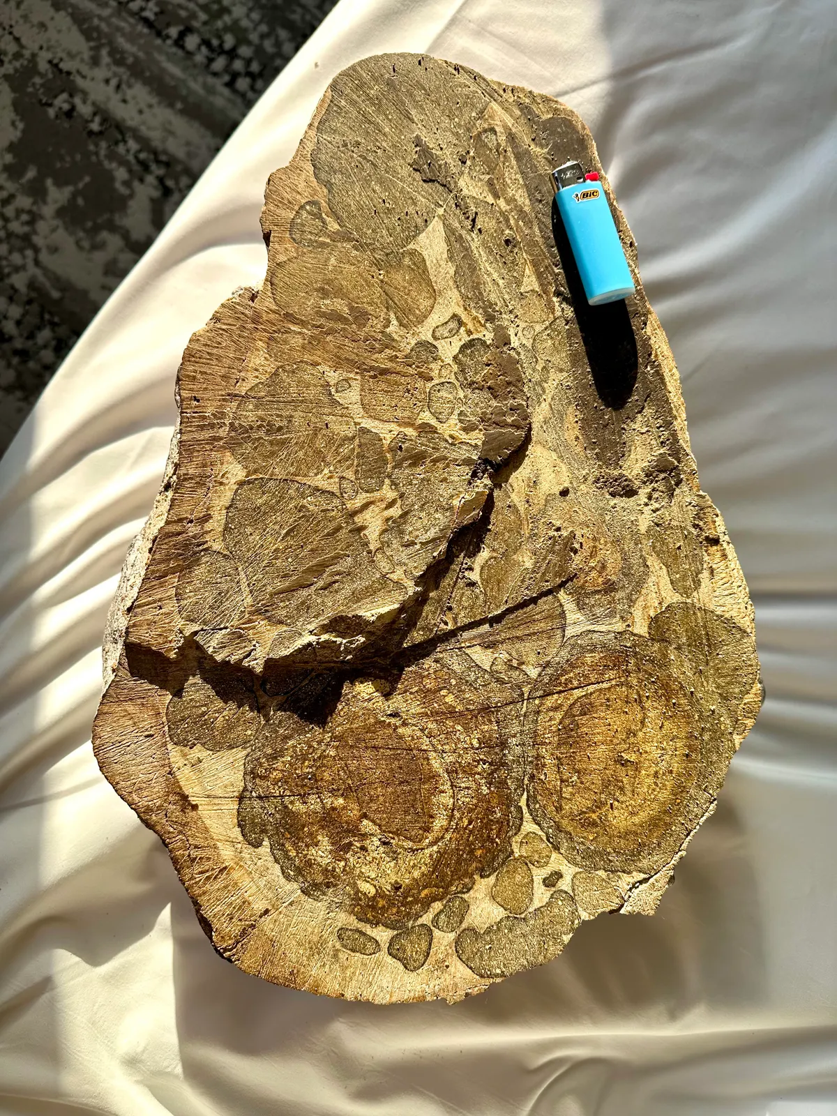 Authentic light coloured ambergris specimen