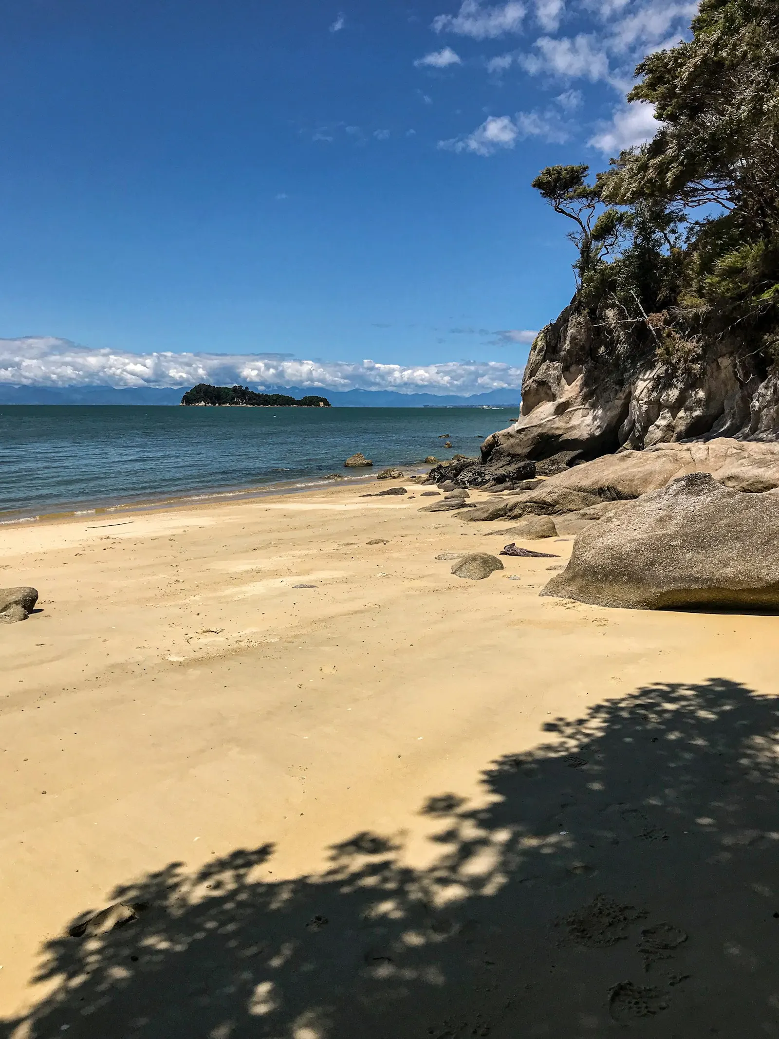 New Zealand coastal beach - ambergris value and grading guide