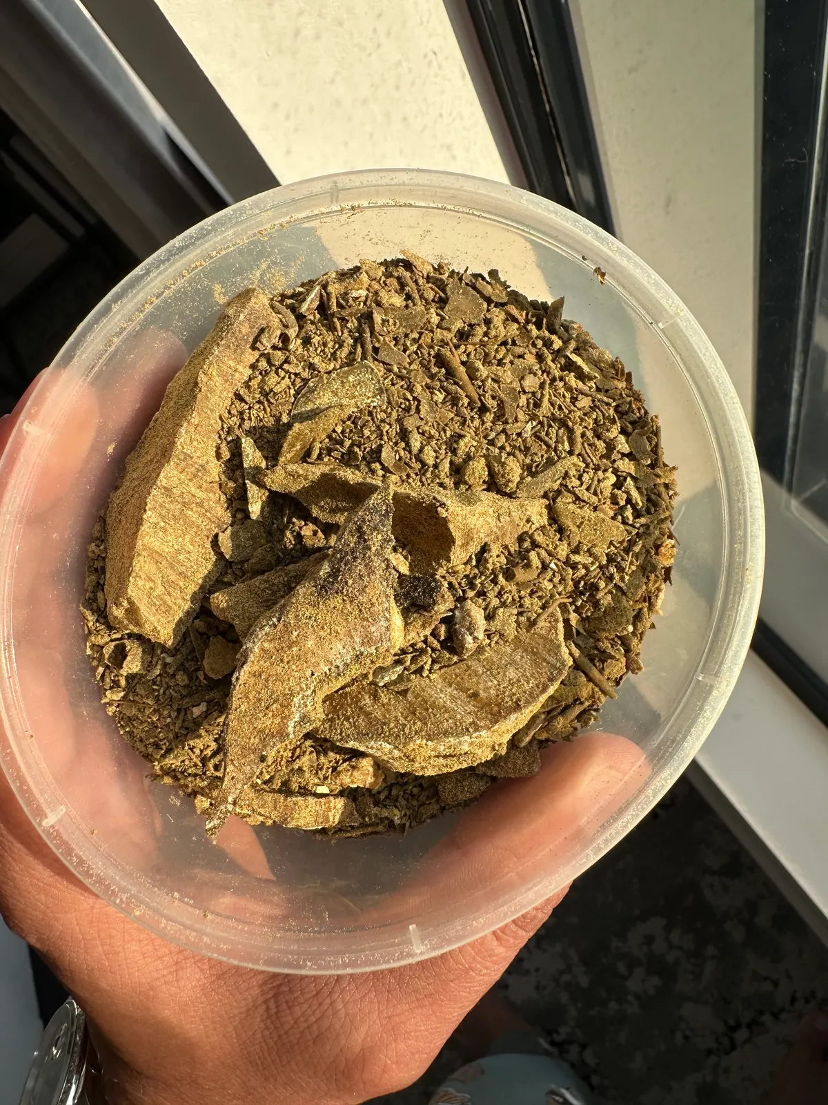Textured authentic ambergris specimen