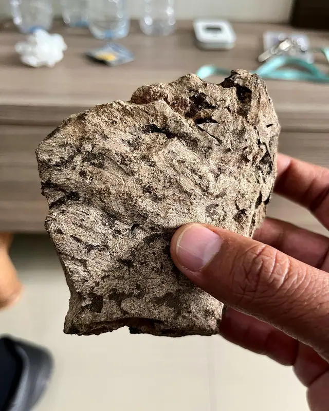 A piece of ambergris held up in hand