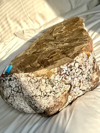 Side view of the 9.51 kg ambergris slab: the cut face on top, a white crackled crust below