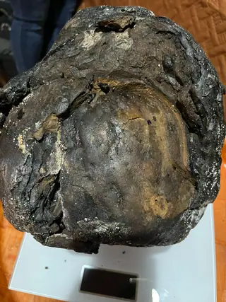 The 7.74 kg dark ambergris piece seen from above on a white stand, its brown face showing