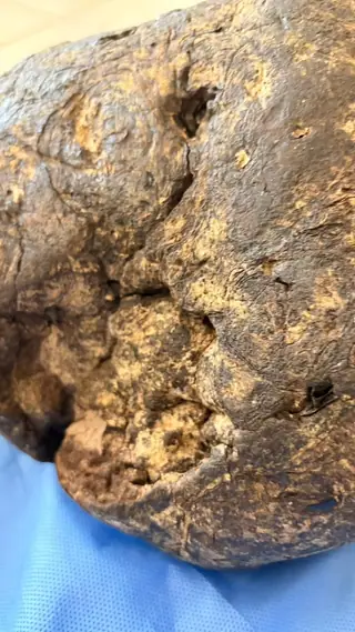 Tight close-up of a crevice in the dark brown ambergris piece, showing a lumpy tan inner surface