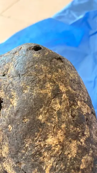 The top of the dark brown ambergris piece, with a small round hole