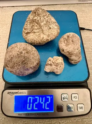 Four ambergris pieces from the sorted lot on a blue digital scale