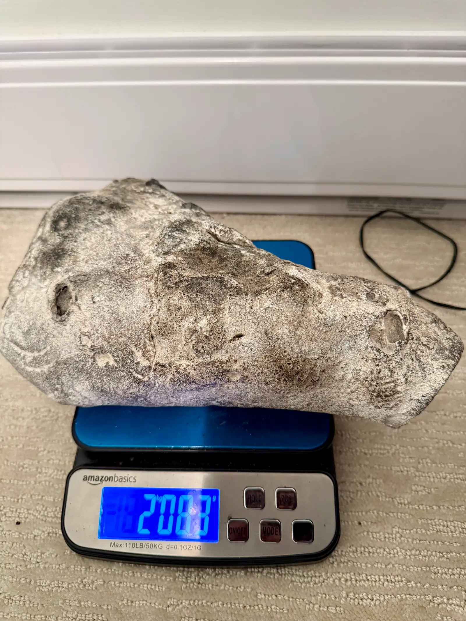An elongated pale grey-white ambergris piece with swirl marks across a blue digital scale