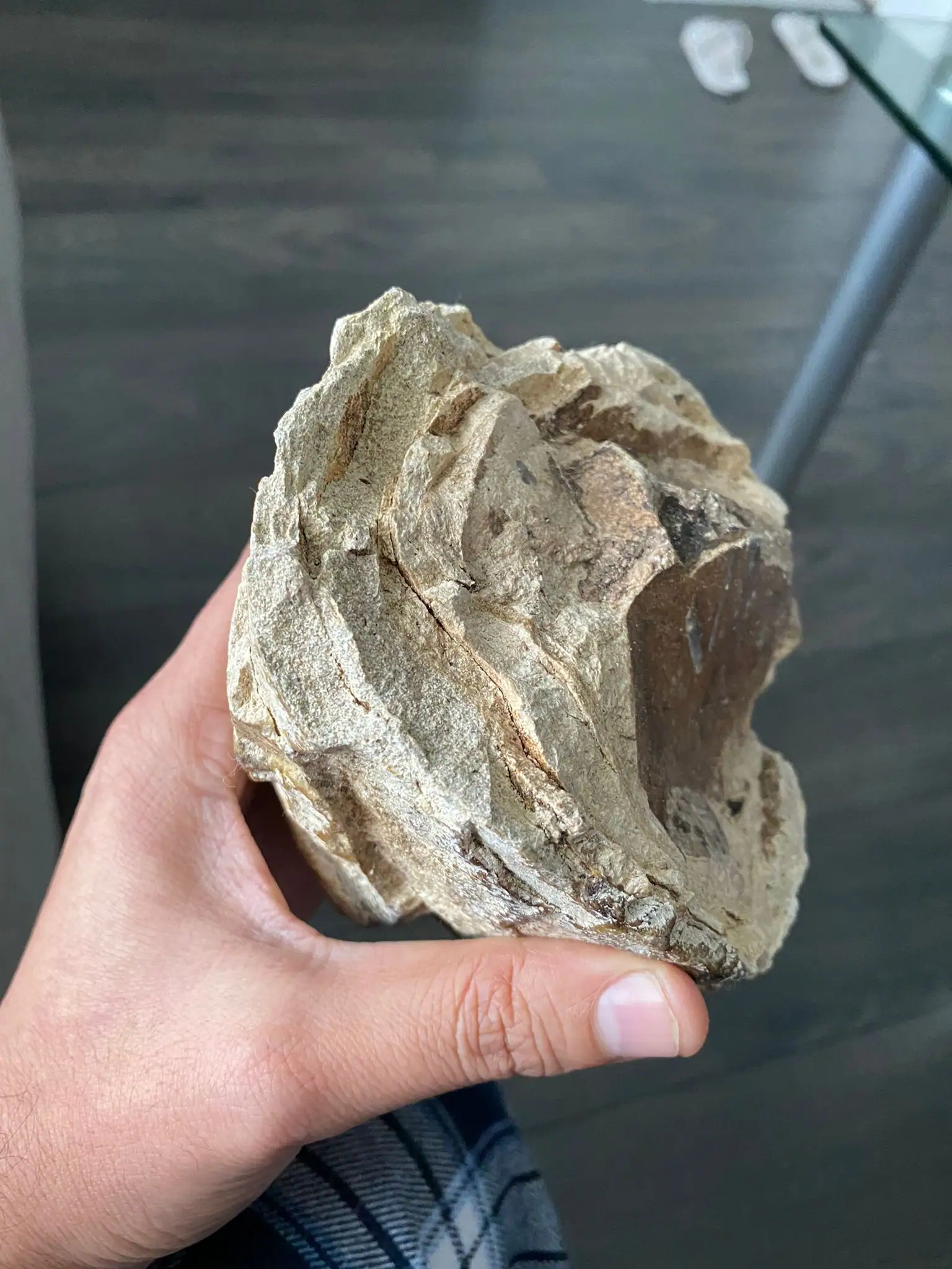 A flaky, layered ambergris fragment in hand