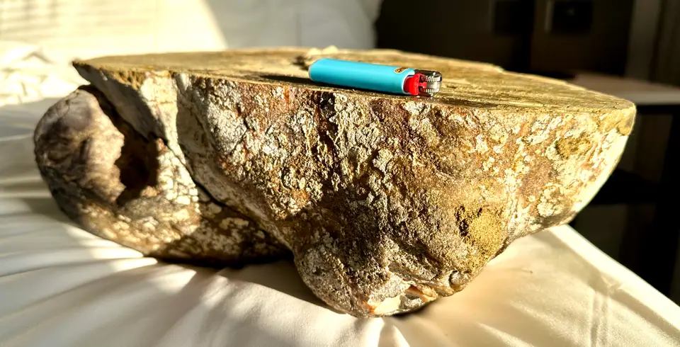 Grey ambergris slab seen from the side, a lighter on top for scale