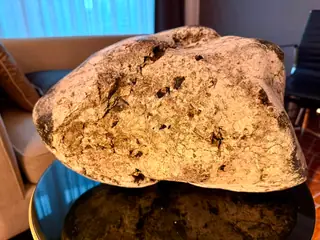 A closer view of the side of the large pale grey ambergris piece in warm light
