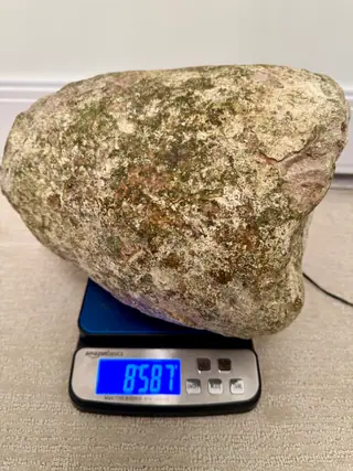 The very large grey and green ambergris piece on its side on a digital scale