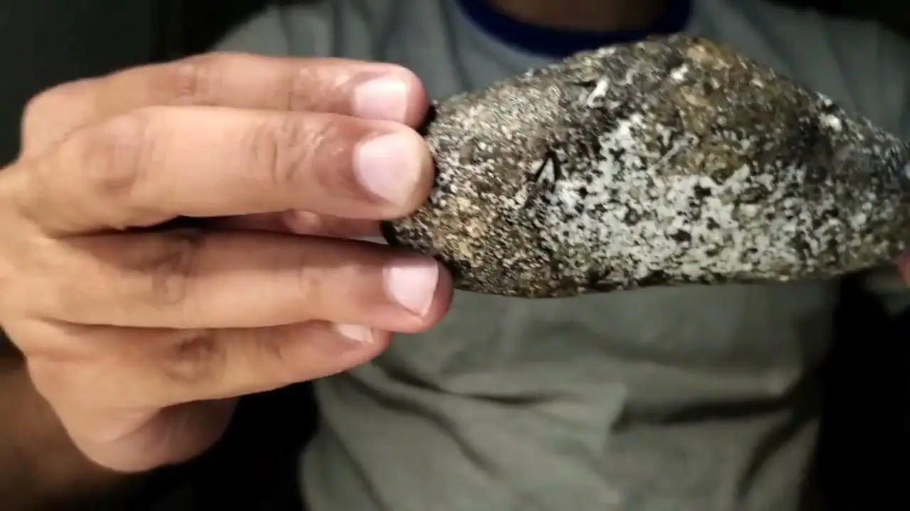 A long dark grey ambergris piece densely speckled with white, held in one hand