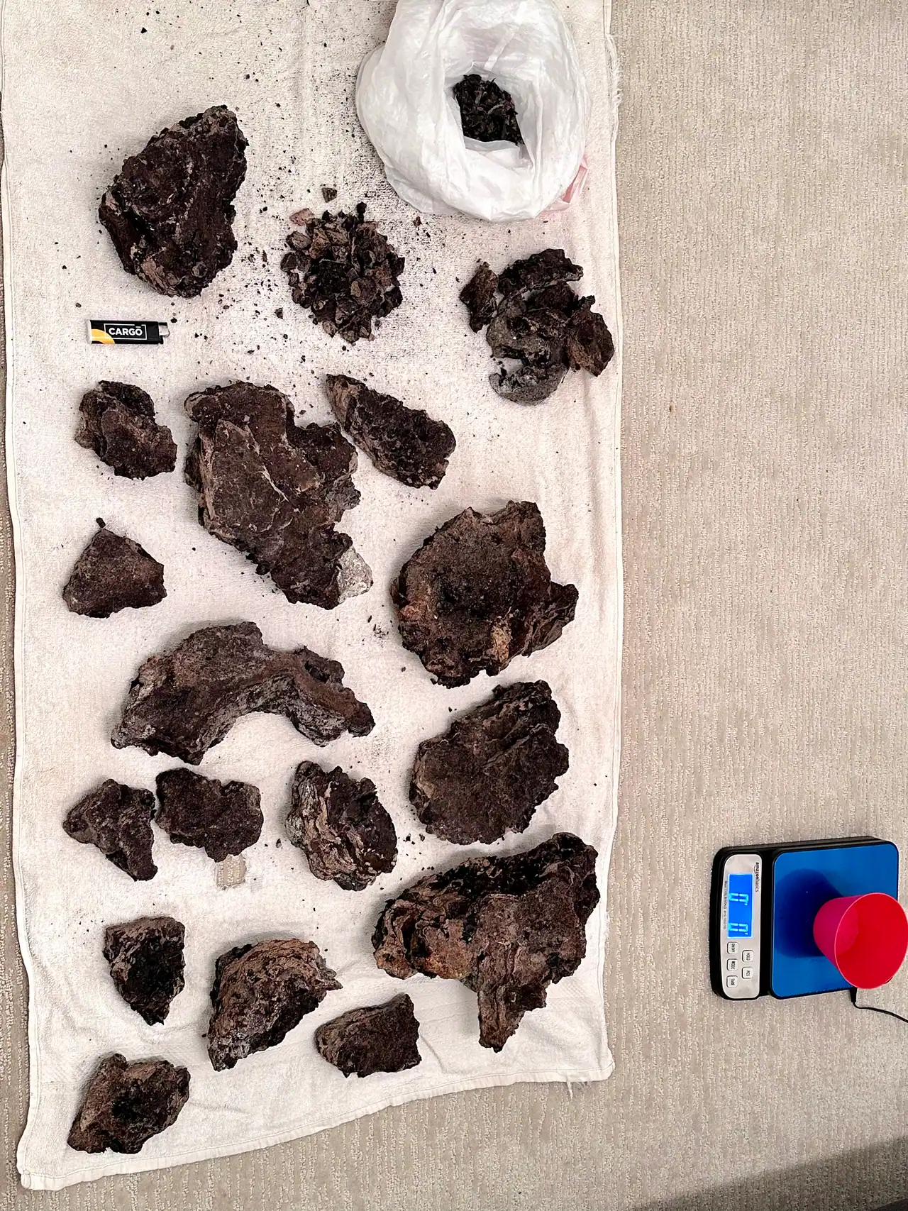 About seventeen dark brown ambergris chunks laid out on a white towel beside a small scale