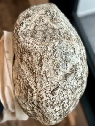 A closer view of the mottled grey and white surface of the egg-shaped ambergris piece