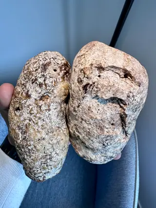 The pair of pale ambergris pieces held together in one hand indoors
