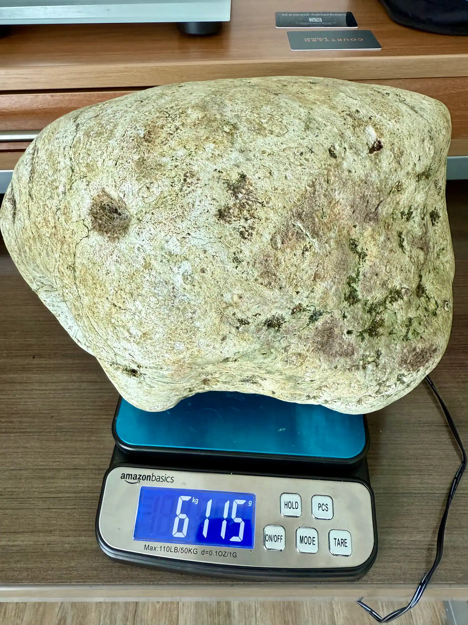 A large pale cream ambergris piece with green patches on a blue digital scale