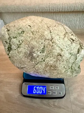 The pale green-cream ambergris piece on a digital scale, a crackled area facing the camera