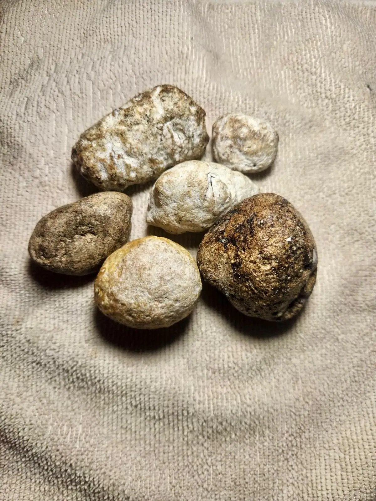 Six small rounded ambergris pieces from white to brown on a beige towel