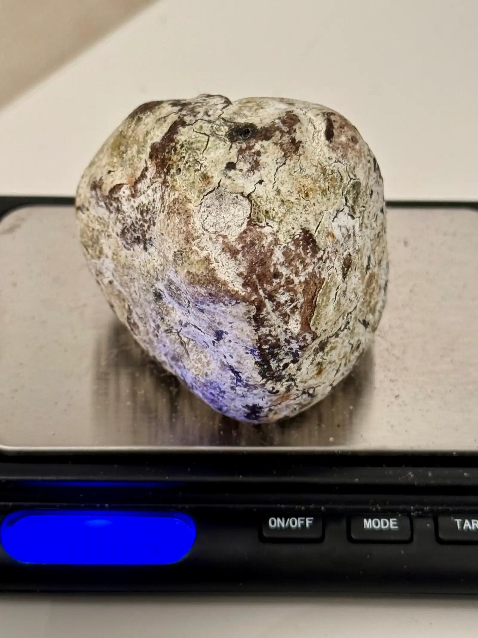 A small rounded pale ambergris piece with brown patches on a black pocket scale