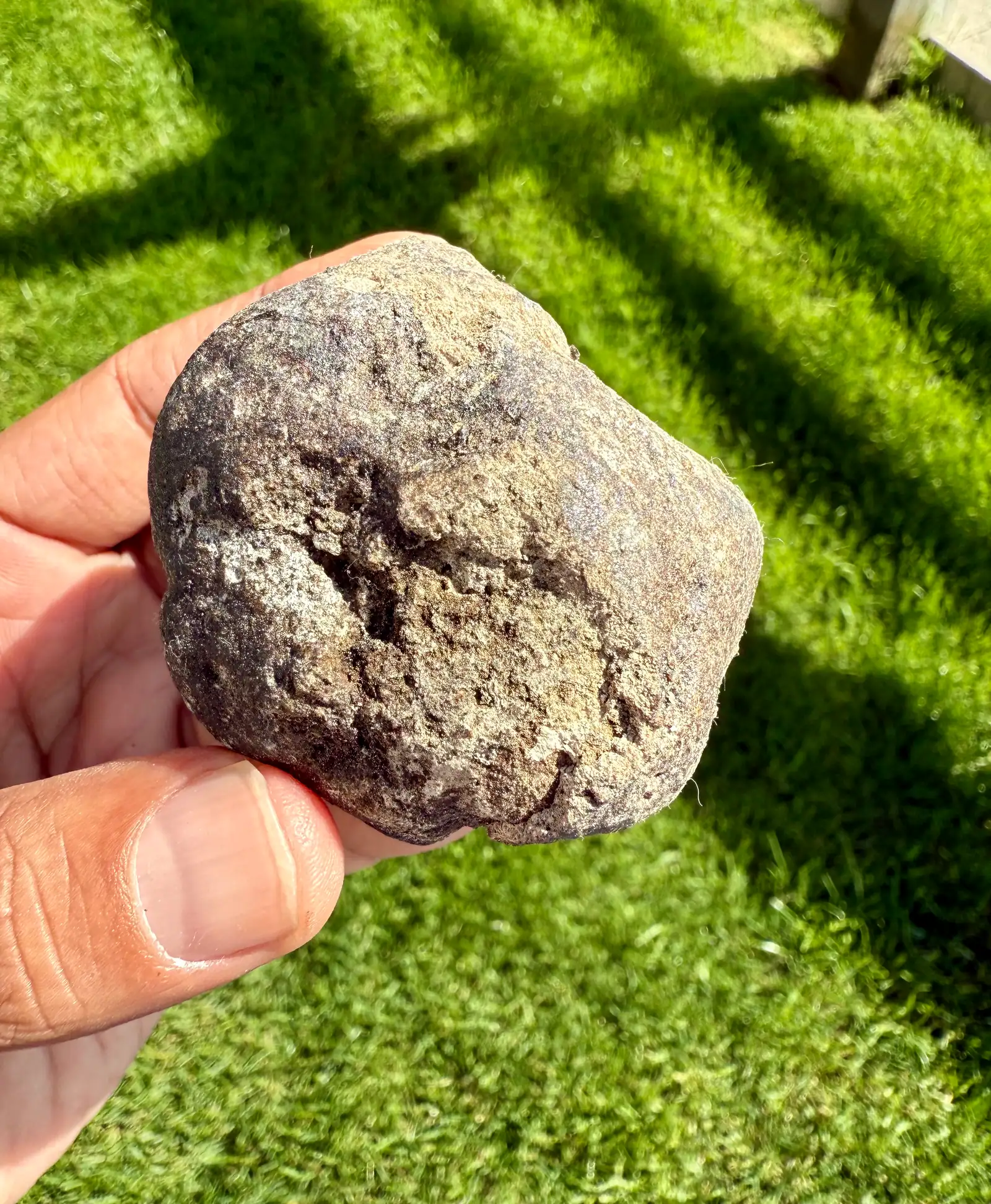 A small rounded purplish-grey ambergris piece held over a sunlit lawn