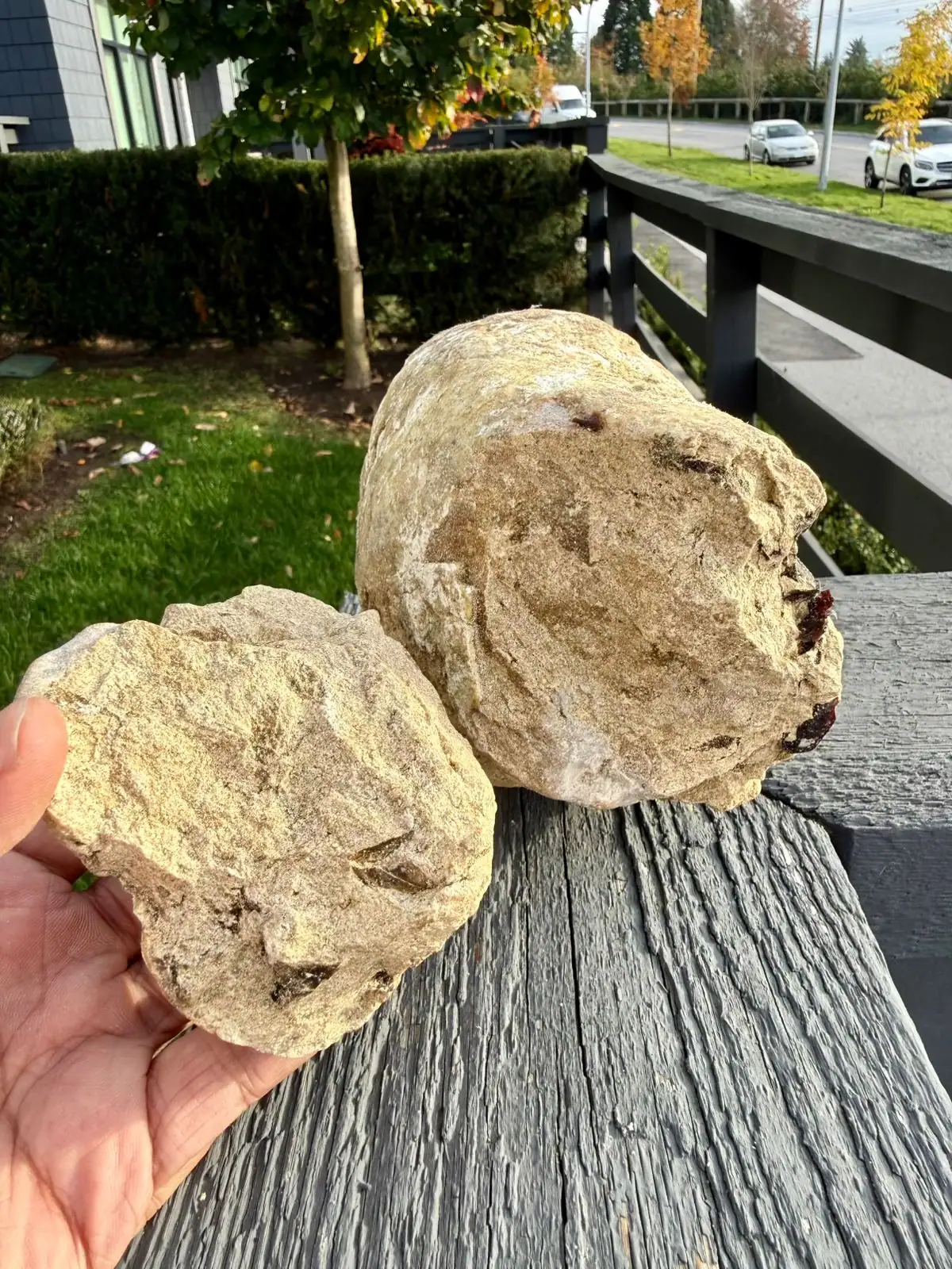 Two tan ambergris pieces with red-brown flecks, one in hand and one on a deck rail