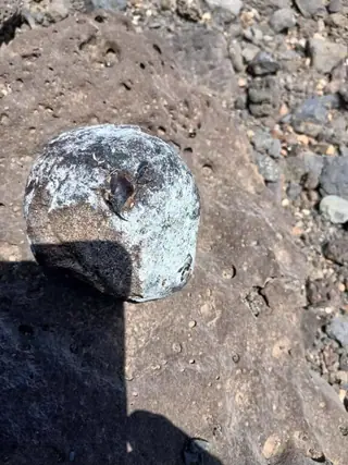A grey-white ambergris piece on dark volcanic rock, a squid beak set in its surface