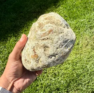 Another face of the large white ambergris piece, held in hand over sunny grass