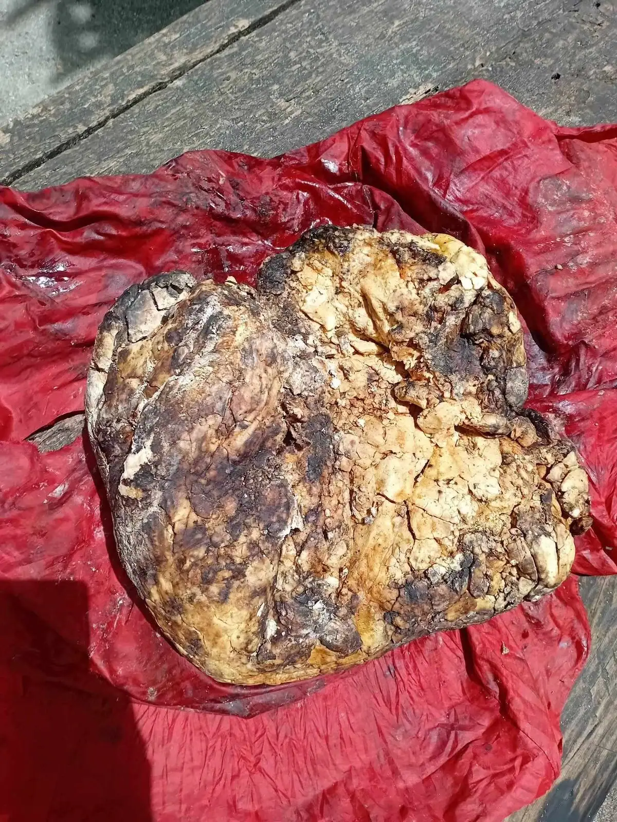 A heart-shaped yellow and black ambergris piece on a red plastic sheet